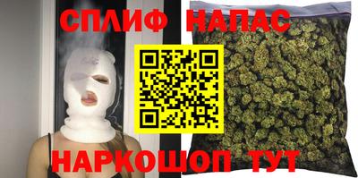 крисы Будённовск