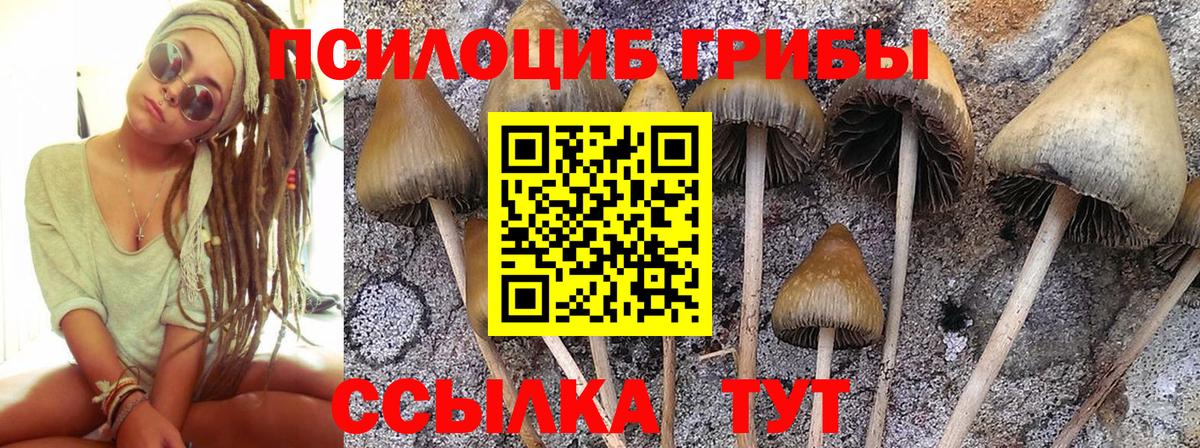 Галлюциногенные грибы Cubensis Спасск-Дальний